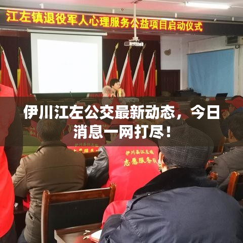 伊川江左公交最新动态，今日消息一网打尽！
