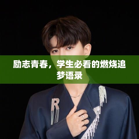 新闻动态 第91页