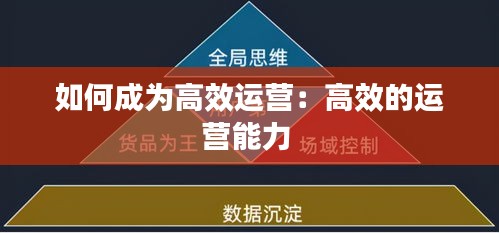 如何成为高效运营：高效的运营能力 