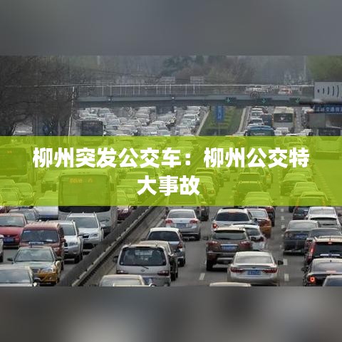 柳州突发公交车：柳州公交特大事故 