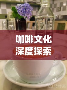 咖啡文化深度探索，探寻咖啡背后的故事与魅力