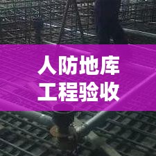 虫言鸟迹 第2页