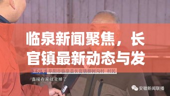 凤凰于飞