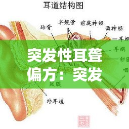 展翅欲飞 第2页