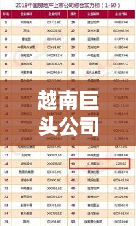 越南巨头公司排名揭晓，揭秘行业领军者！