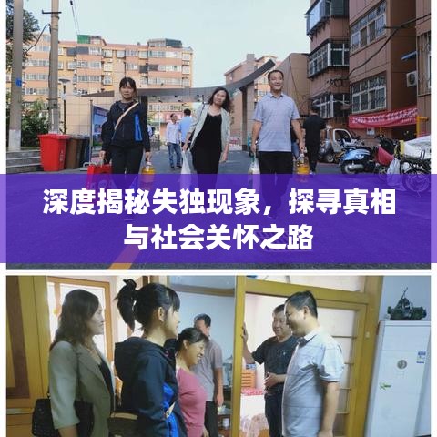 深度揭秘失独现象，探寻真相与社会关怀之路