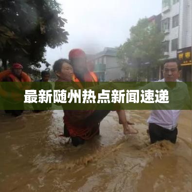 最新随州热点新闻速递
