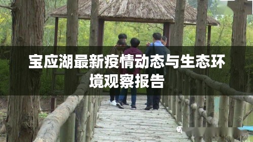 宝应湖最新疫情动态与生态环境观察报告