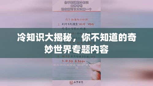 冷知识大揭秘，你不知道的奇妙世界专题内容