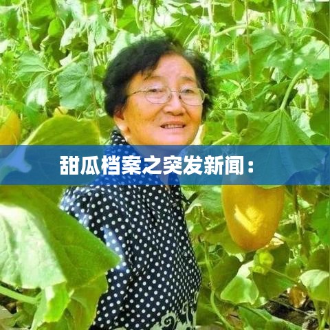 甜瓜档案之突发新闻： 