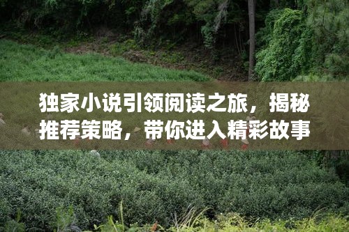 独家小说引领阅读之旅，揭秘推荐策略，带你进入精彩故事世界