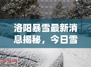 洛阳暴雪最新消息揭秘，今日雪情动态更新！