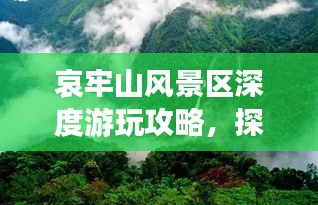 哀牢山风景区深度游玩攻略，探秘自然奇观，体验绝佳旅游路线！
