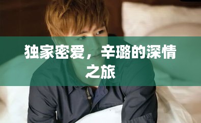 独家密爱，辛璐的深情之旅