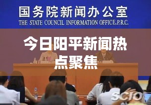 今日阳平新闻热点聚焦