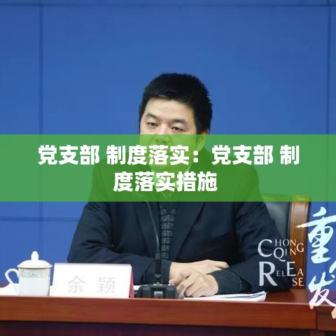 党支部 制度落实：党支部 制度落实措施 