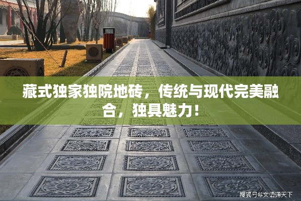 只争朝夕 第2页
