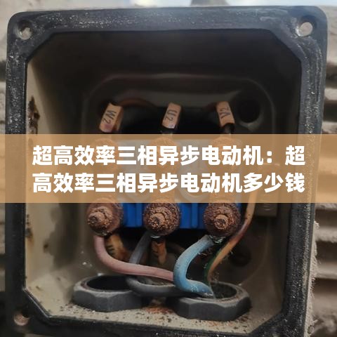 超高效率三相异步电动机：超高效率三相异步电动机多少钱 