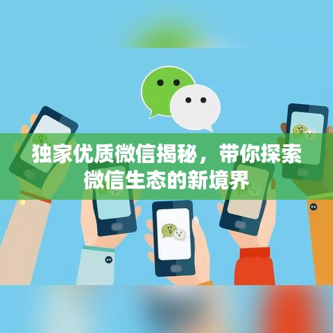 独家优质微信揭秘，带你探索微信生态的新境界