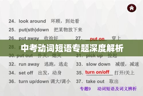 中考动词短语专题深度解析