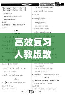高效复习人教版数学答案：高效训练册答案 