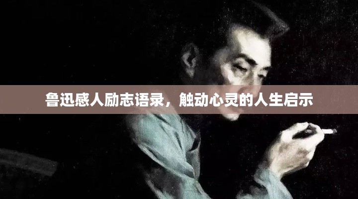 拾金不昧 第2页