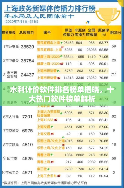 水利计价软件排名榜单揭晓，十大热门软件榜单解析