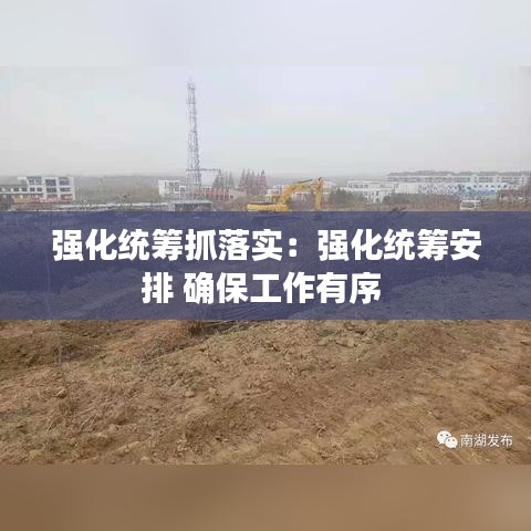 强化统筹抓落实：强化统筹安排 确保工作有序 