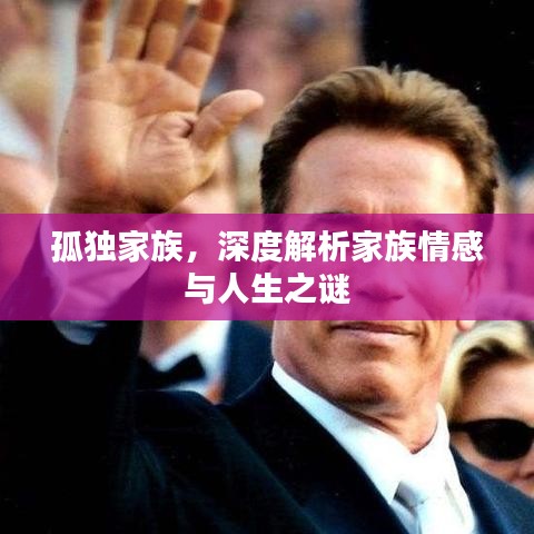 孤独家族，深度解析家族情感与人生之谜