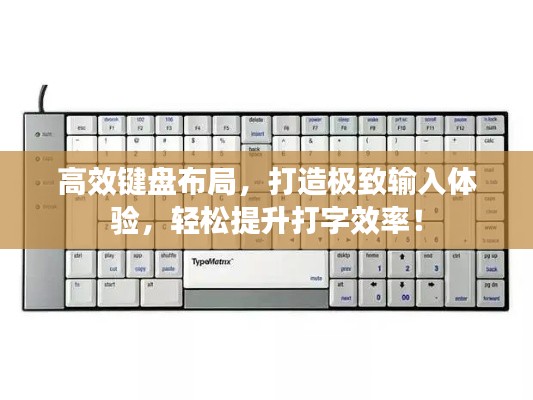 死得其所 第2页