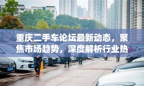 重庆二手车论坛最新动态，聚焦市场趋势，深度解析行业热点