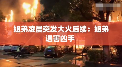 姐弟凌晨突发大火后续：姐弟遇害凶手 