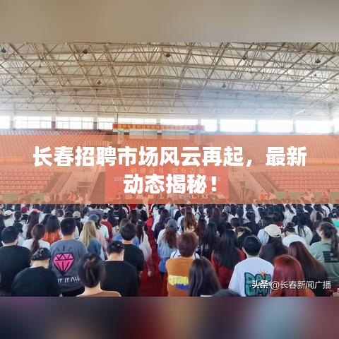 长春招聘市场风云再起，最新动态揭秘！