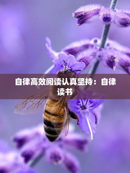 神采飞扬 第2页