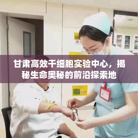 甘肃高效干细胞实验中心，揭秘生命奥秘的前沿探索地