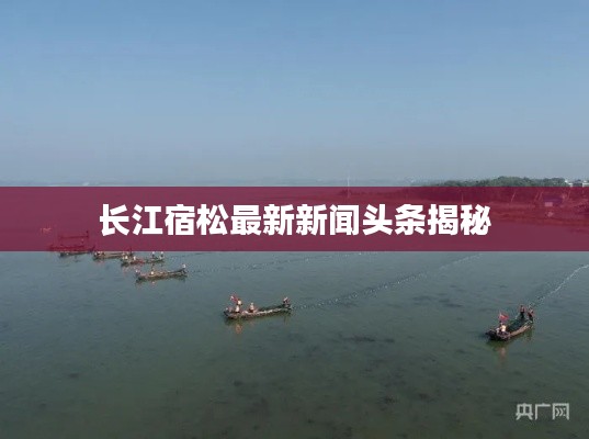 尽心竭力 第2页