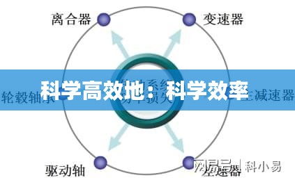 科学高效地：科学效率 