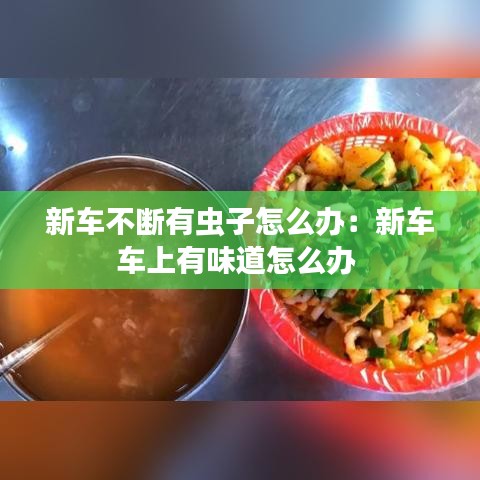 新车不断有虫子怎么办：新车车上有味道怎么办 