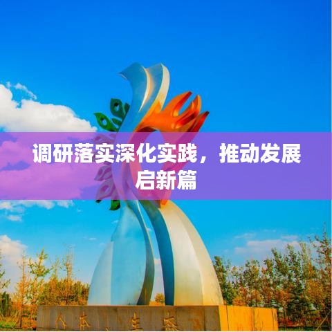 调研落实深化实践，推动发展启新篇