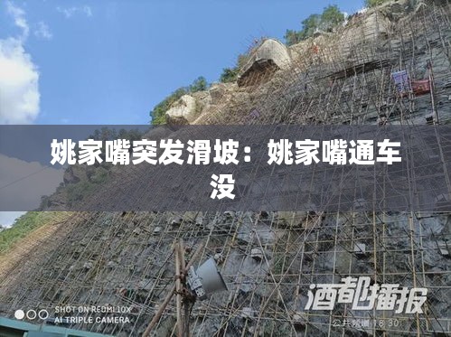 姚家嘴突发滑坡：姚家嘴通车没 