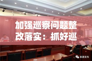 加强巡察问题整改落实：抓好巡察问题整改 