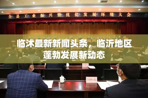 临沭最新新闻头条，临沂地区蓬勃发展新动态