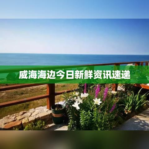 威海海边今日新鲜资讯速递