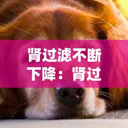 肾过滤不断下降：肾过滤低怎么办 