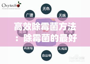 高效除霉菌方法：除霉菌的最好方法 