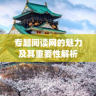 专题阅读网的魅力及其重要性解析