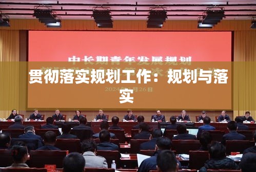贯彻落实规划工作：规划与落实 