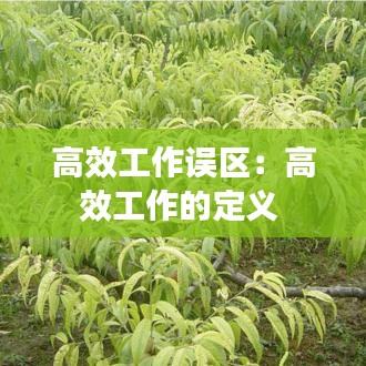 高效工作误区：高效工作的定义 