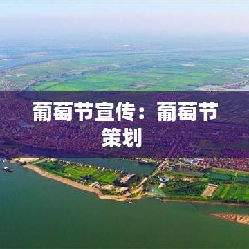 葡萄节宣传：葡萄节策划 
