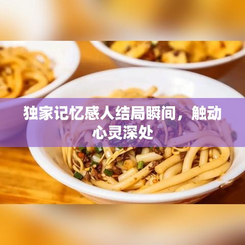 独家记忆感人结局瞬间，触动心灵深处